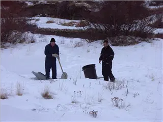 small_031229 coPICT0598.webp